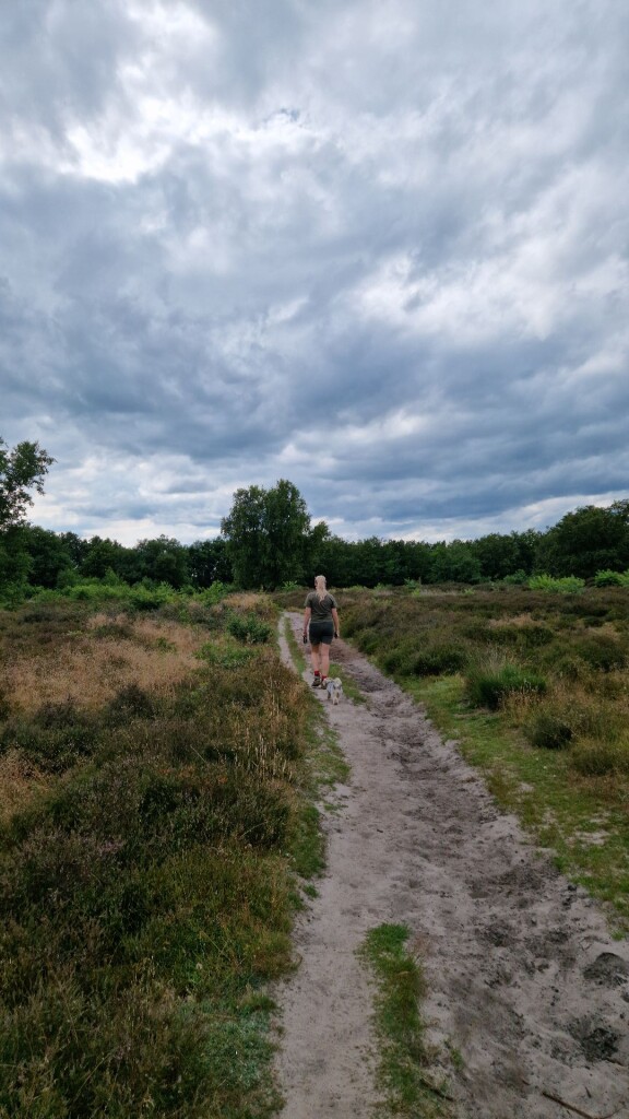 Wandelroute Pieterberg