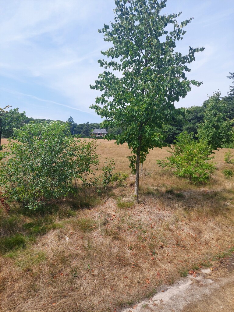 Mooie NS wandeling