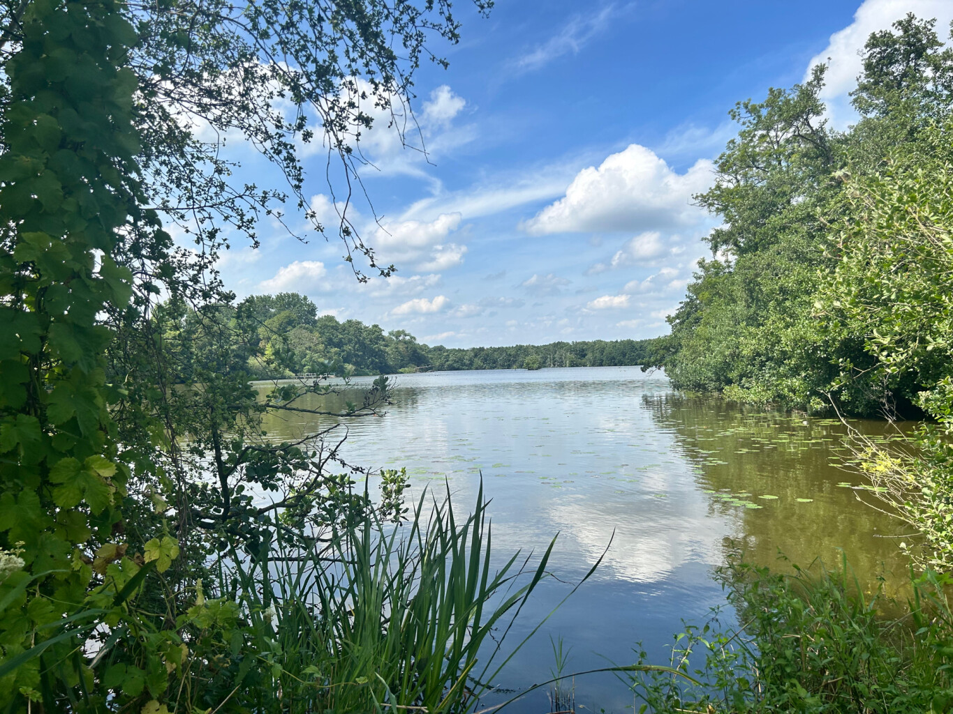 Landgoederen Eelde