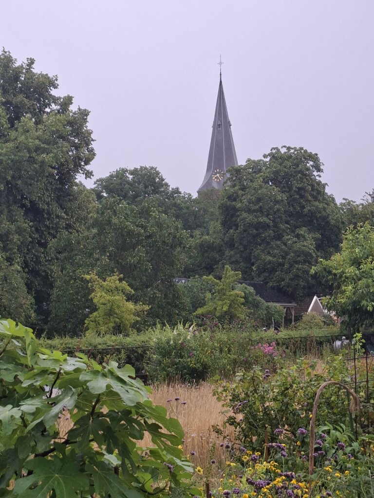 Westerveld