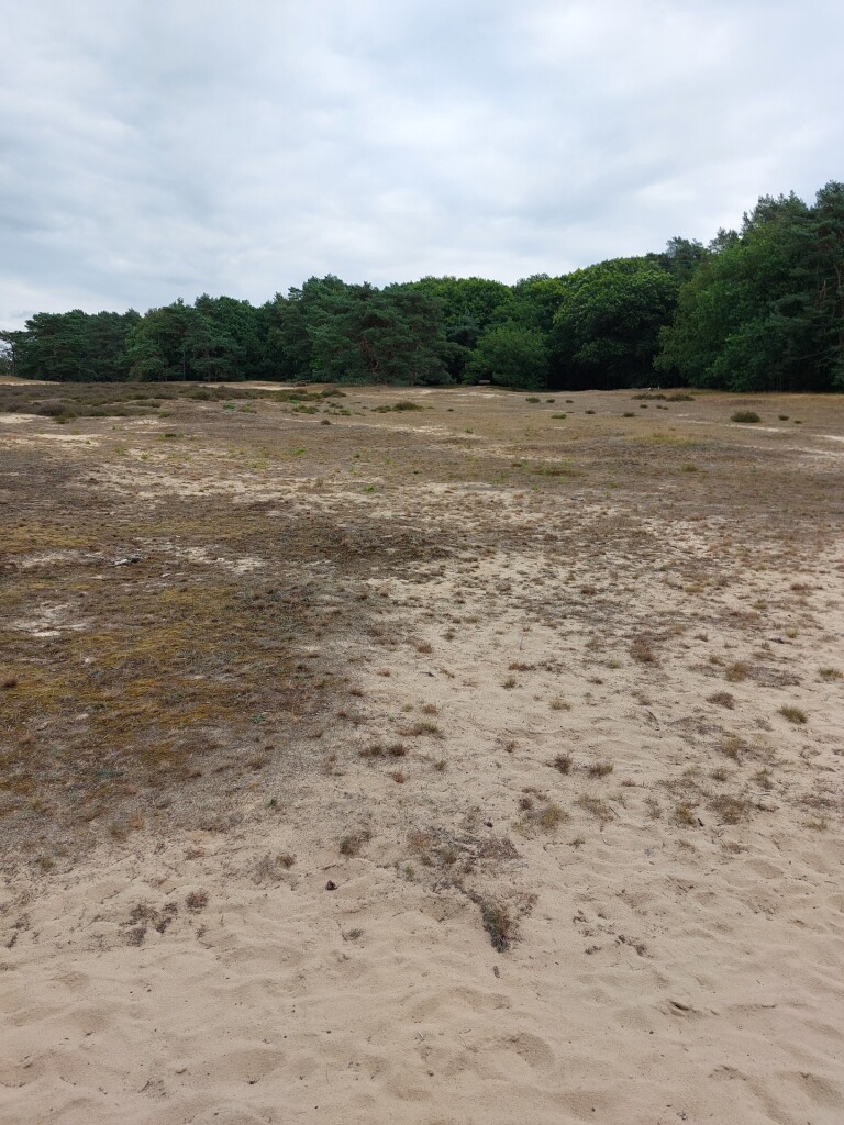 Meulendob Wandelroute 30 km 2026