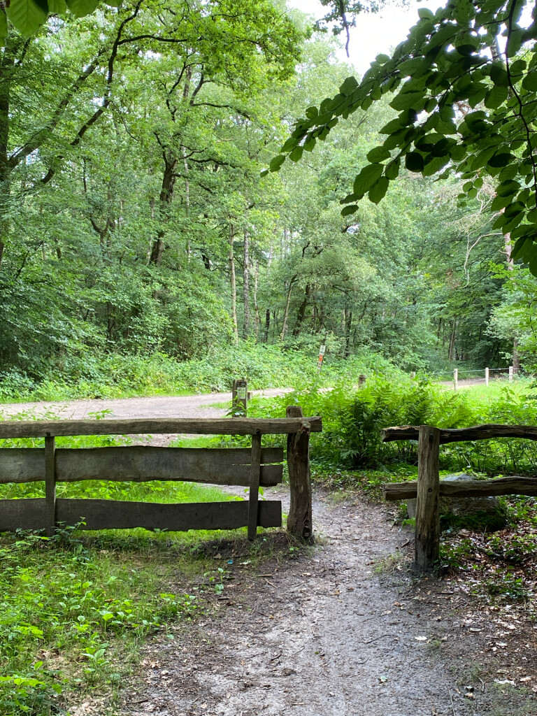 Wandelroute Springendal Sprengenroute