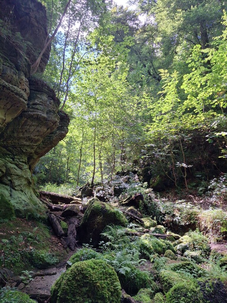 Mullerthal B11