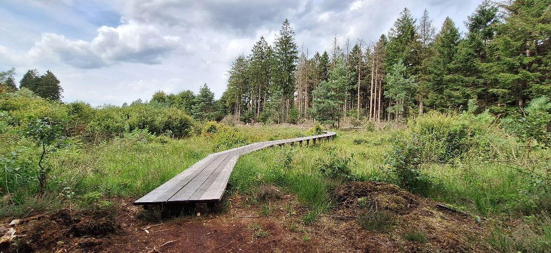 Wandelroute Tilgrup vallei