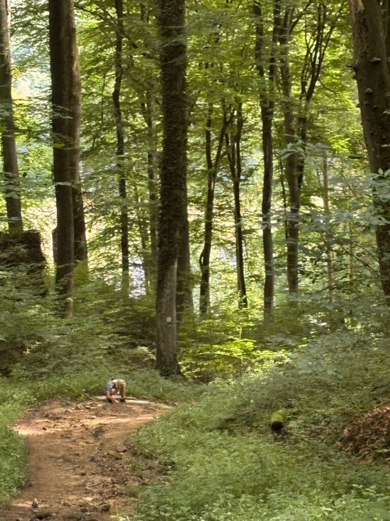 Mullerthal L5