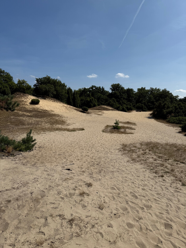 Vierlingsbeek - Swolgen · Pieterpad etappe 20