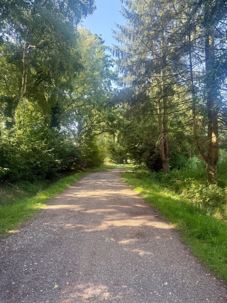 Lemselo - Groen