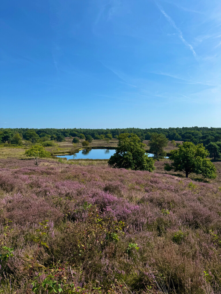 Gennep - Vierlingsbeek · Pieterpad etappe 19
