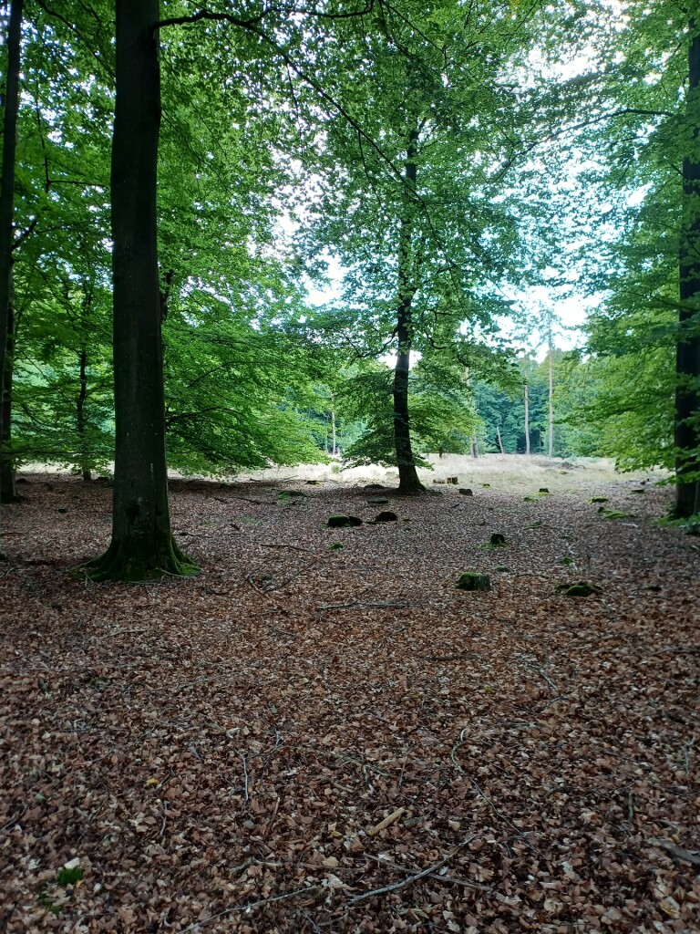 Ton die route