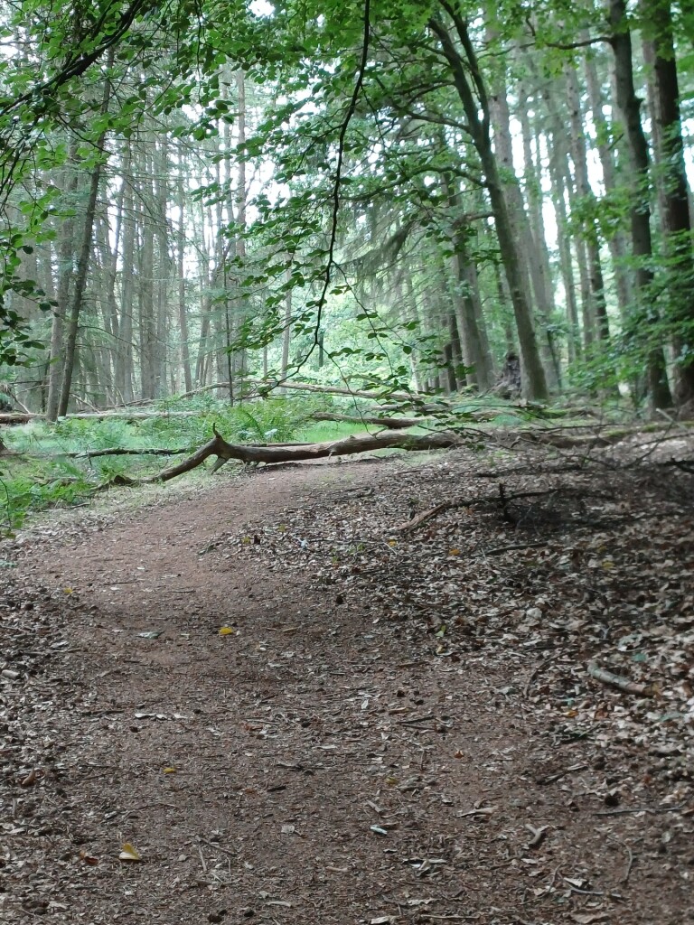 Wandelroute Wolvenspoor