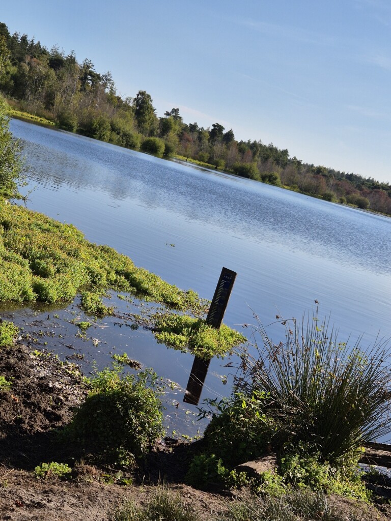 Wandelroute Vennenwandeling Vresselsbos