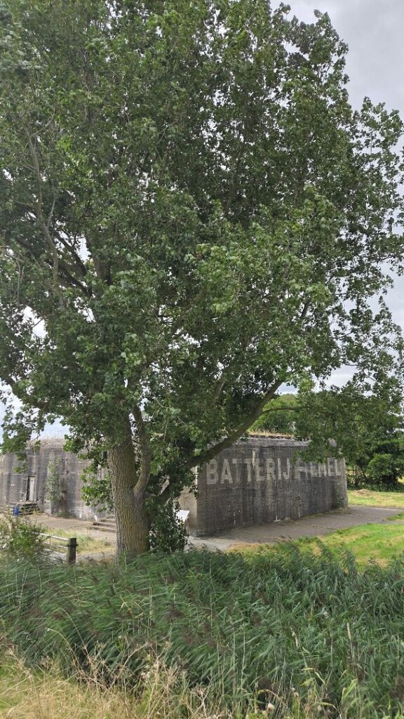 Wandelroute Dollard