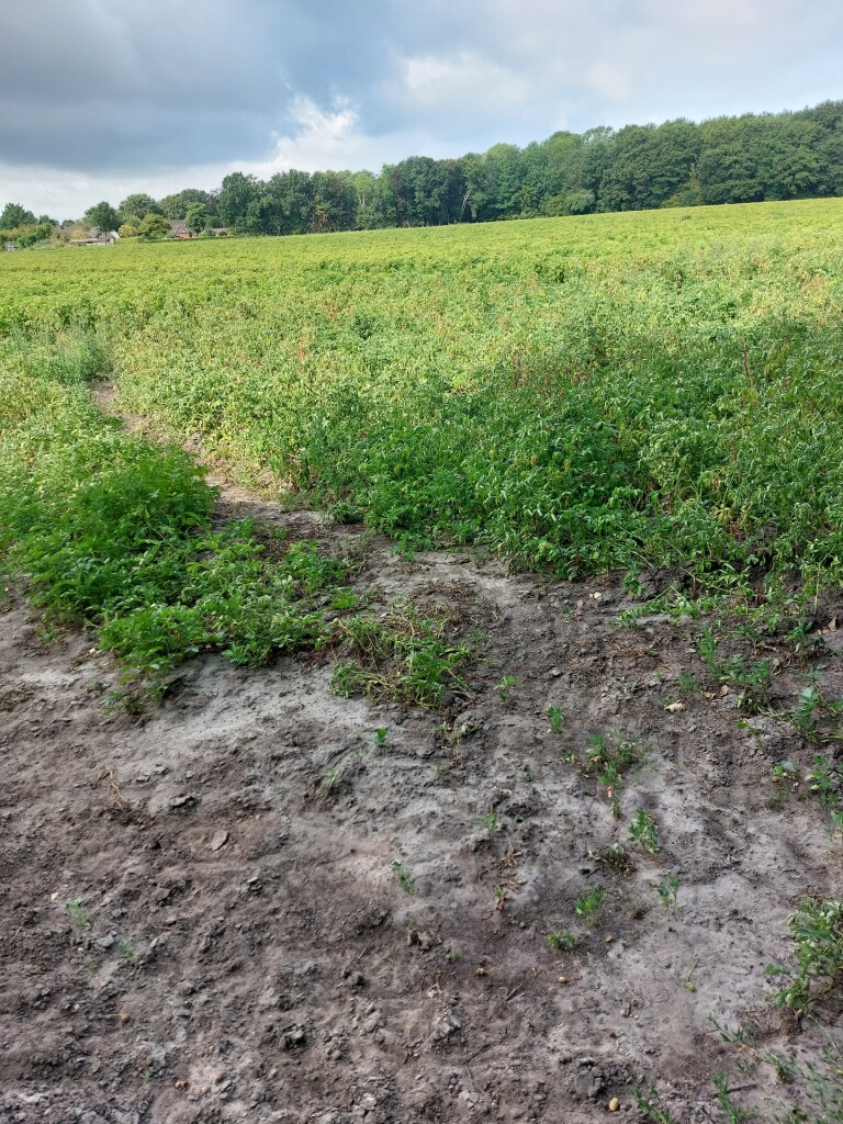 Meulendob Wandelroute 15 km C 1