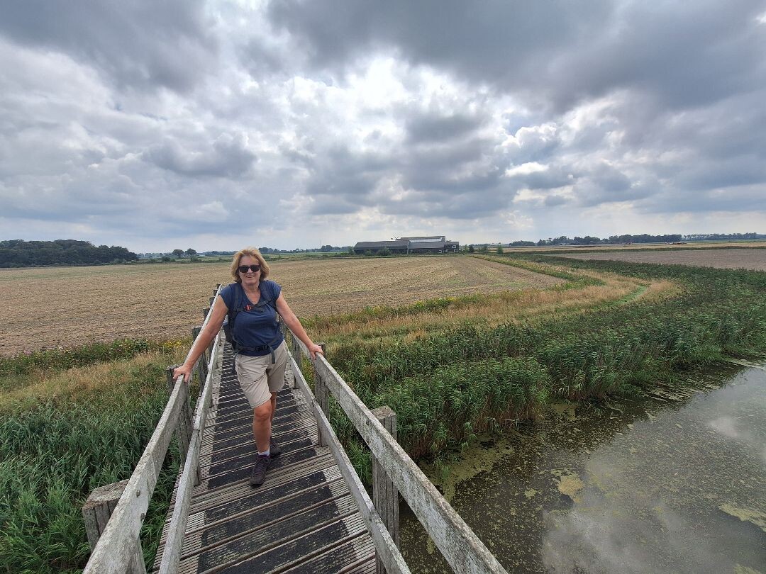 Eindeloze ruimte voor en achter de Waddenzeedijk