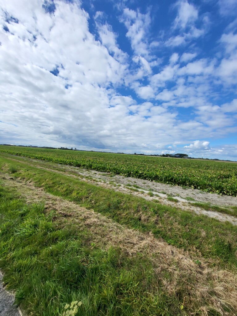 Winsum - Groningen · Pieterpad etappe 2