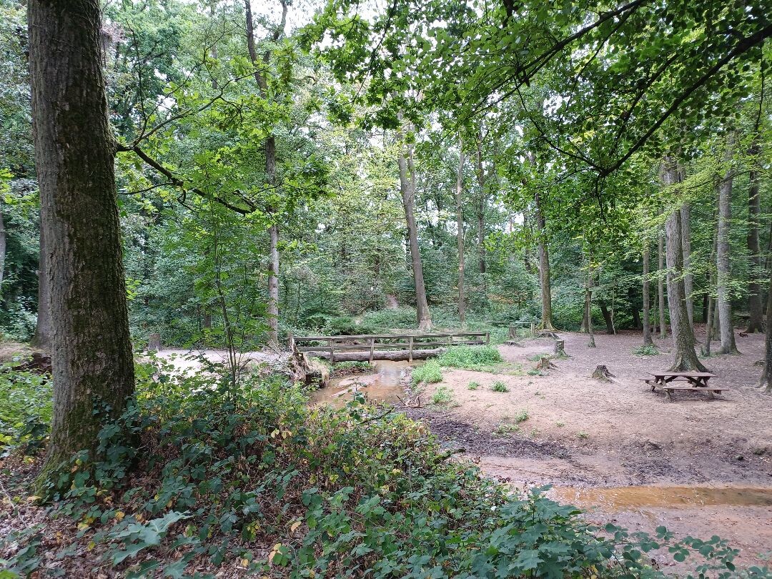 Vierlingsbeek - Swolgen · Pieterpad etappe 20