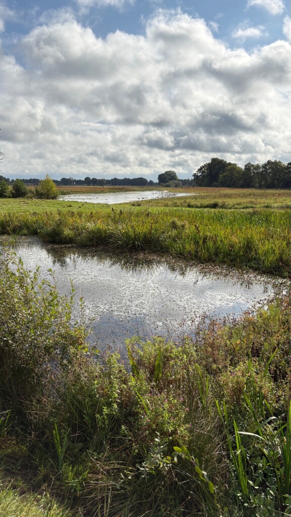 Hardenberg - Ommen · Pieterpad etappe 9