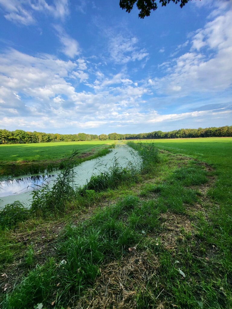 Nuland - Veghel · Camino Brabant etappe 2