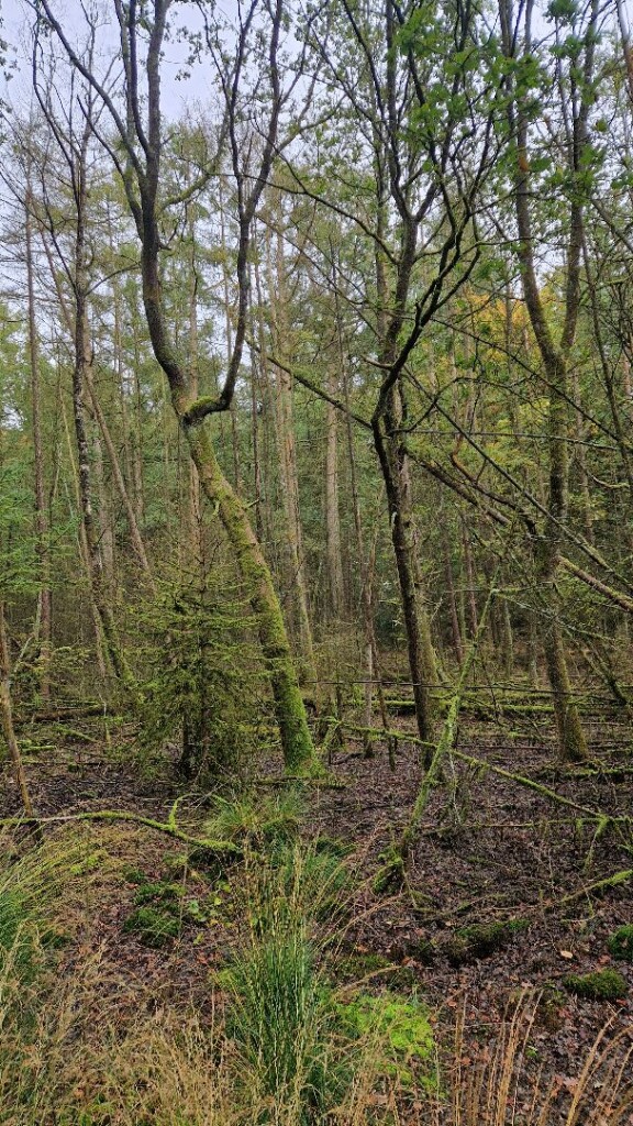 Natteneuzenroute