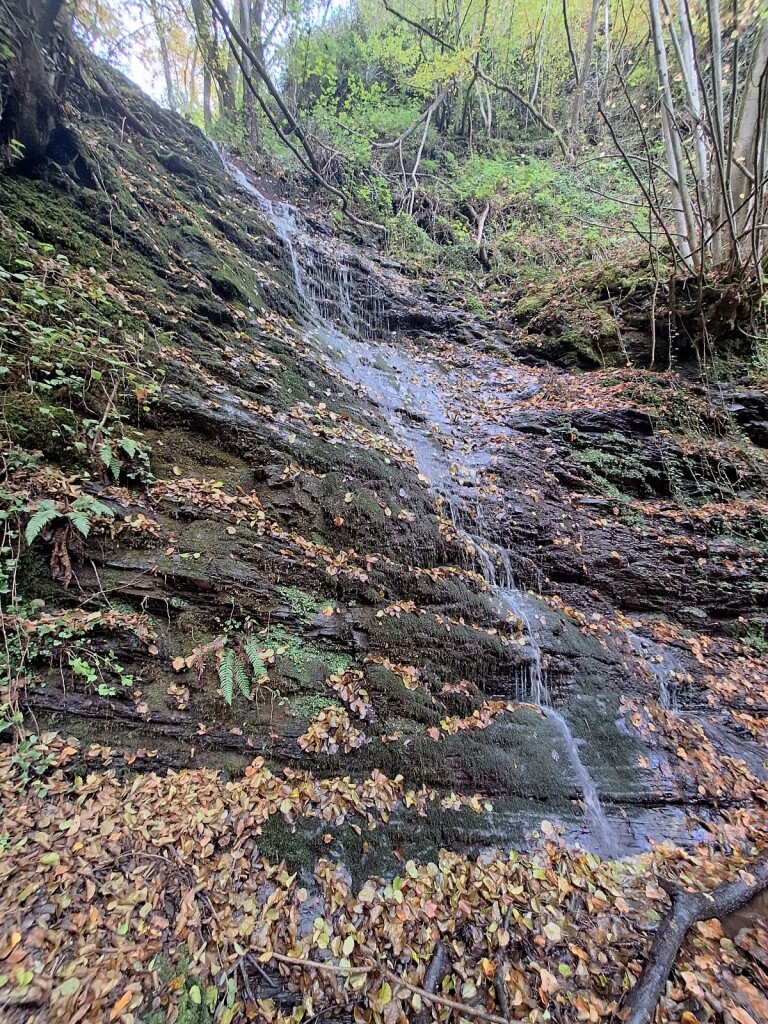 Kulturweg Dortebachtal