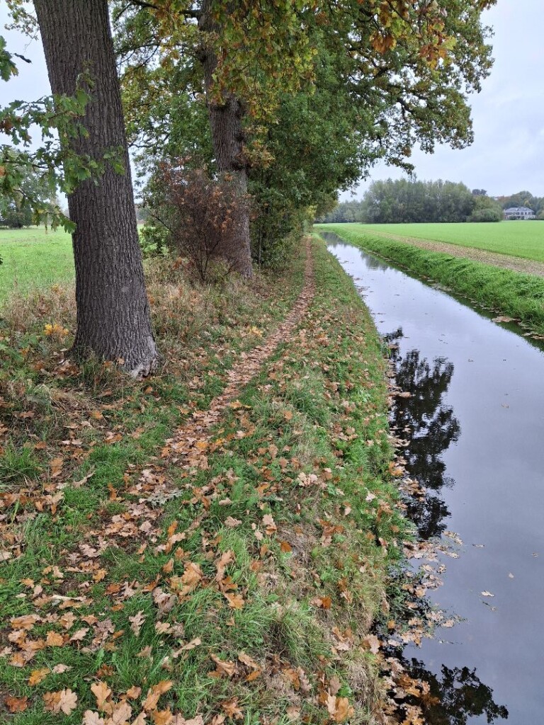 Den Bosch - Nuland · Camino Brabant etappe 1