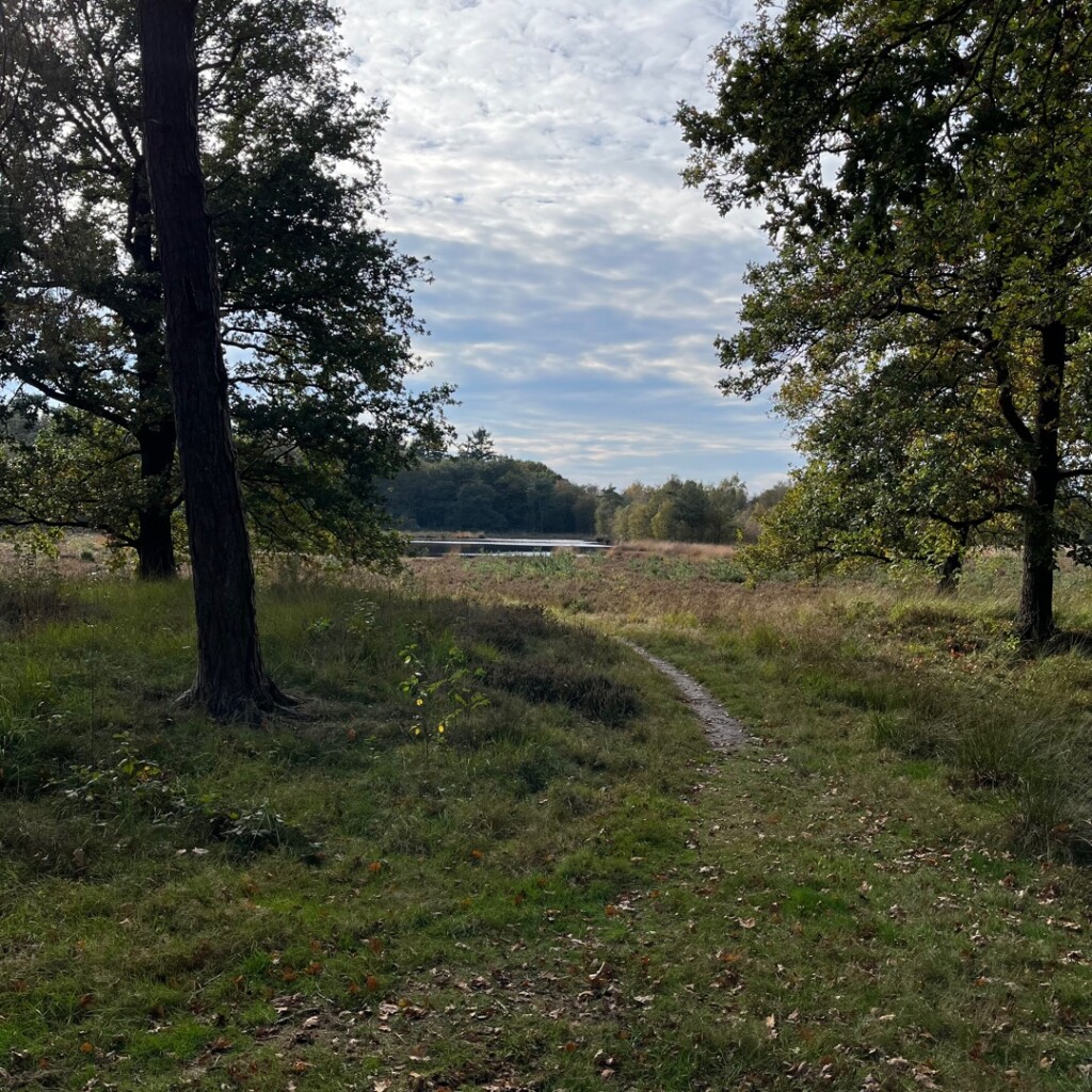 Schoonloo - Sleen · Pieterpad etappe 6