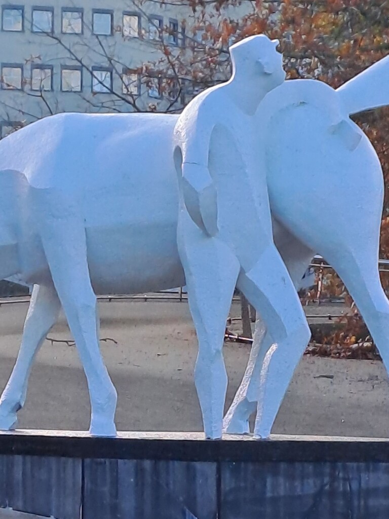 Winsum - Groningen · Pieterpad etappe 2