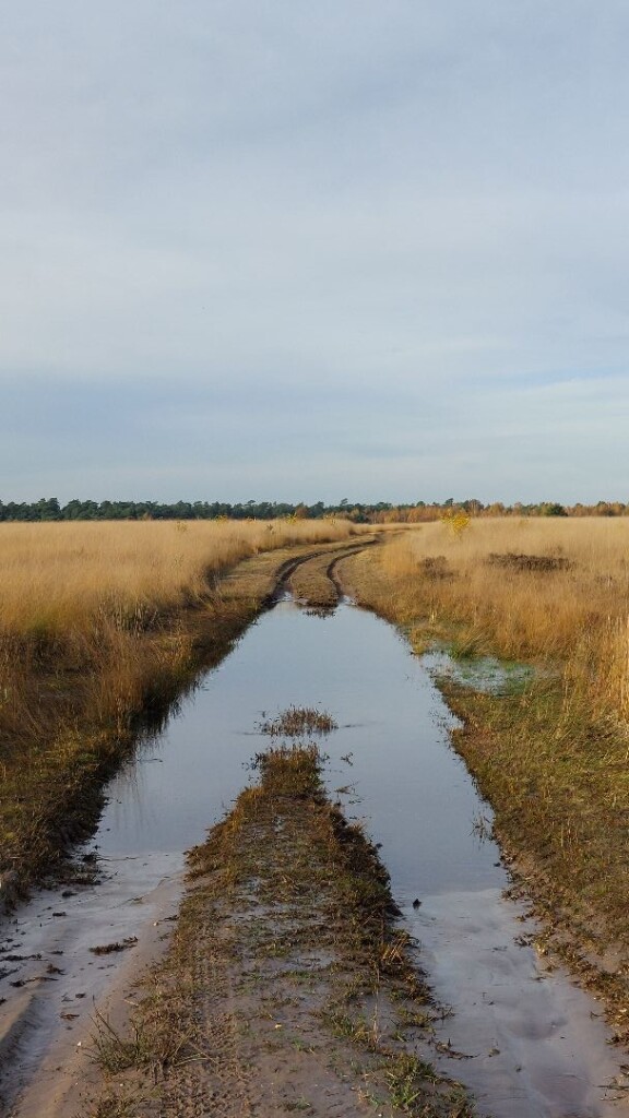 Hoenderloo - Arnhem · Roots Natuurpad etappe 20