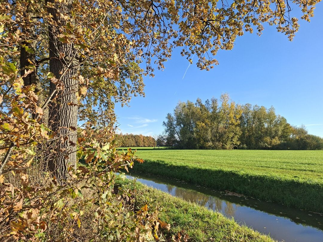 Den Bosch - Nuland · Camino Brabant etappe 1