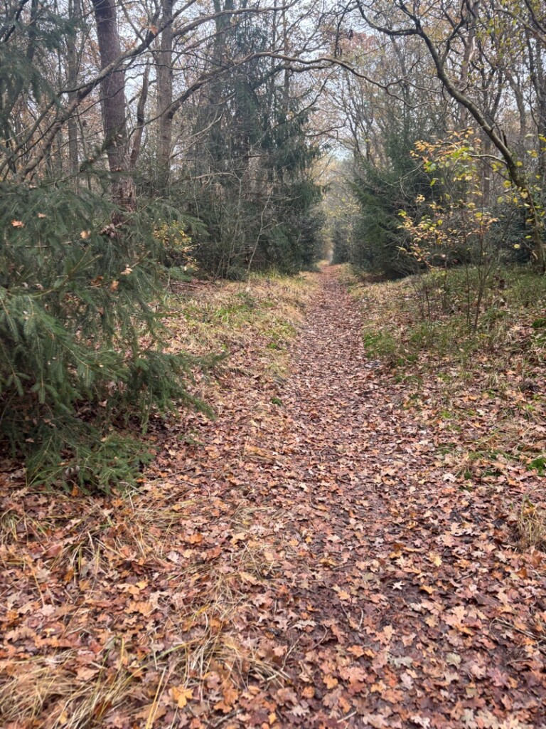 Van Gogh wandeling | Vincent en de geschiedenis van Tiendeveen