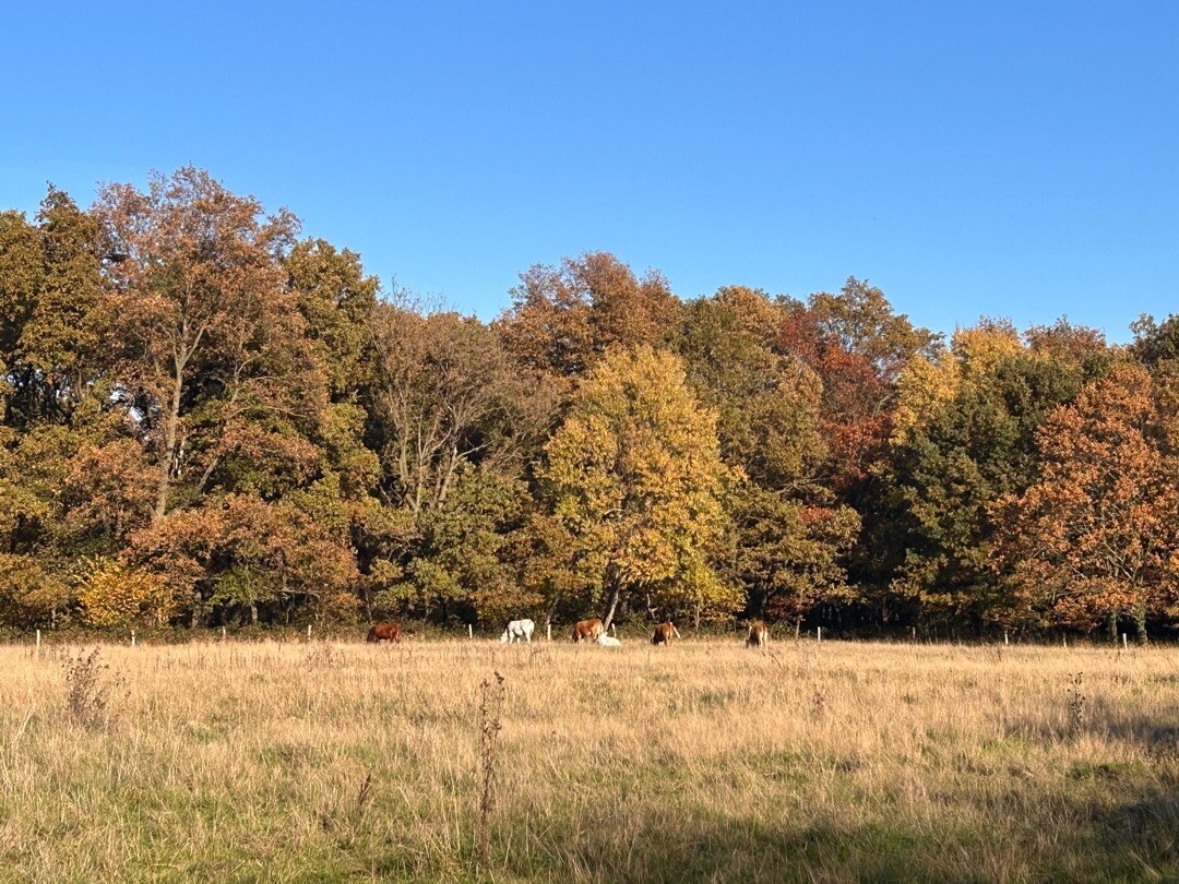 Montfort - Sittard · Pieterpad etappe 24