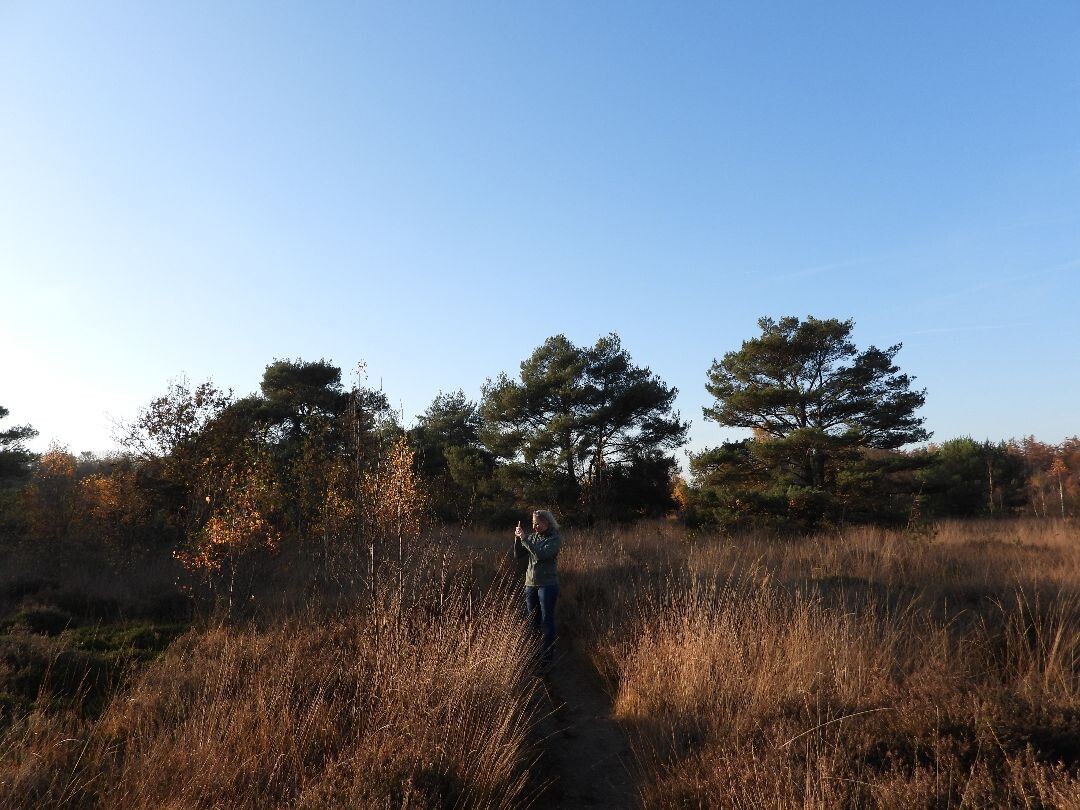 Wandelroute Oldemeijer Haarplasroute