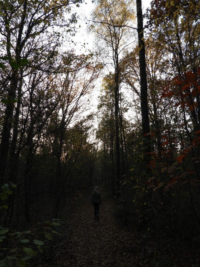 Wandelroute Oldemeijer Haarplasroute