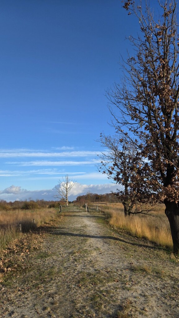 Vogelrondje Bargerveen