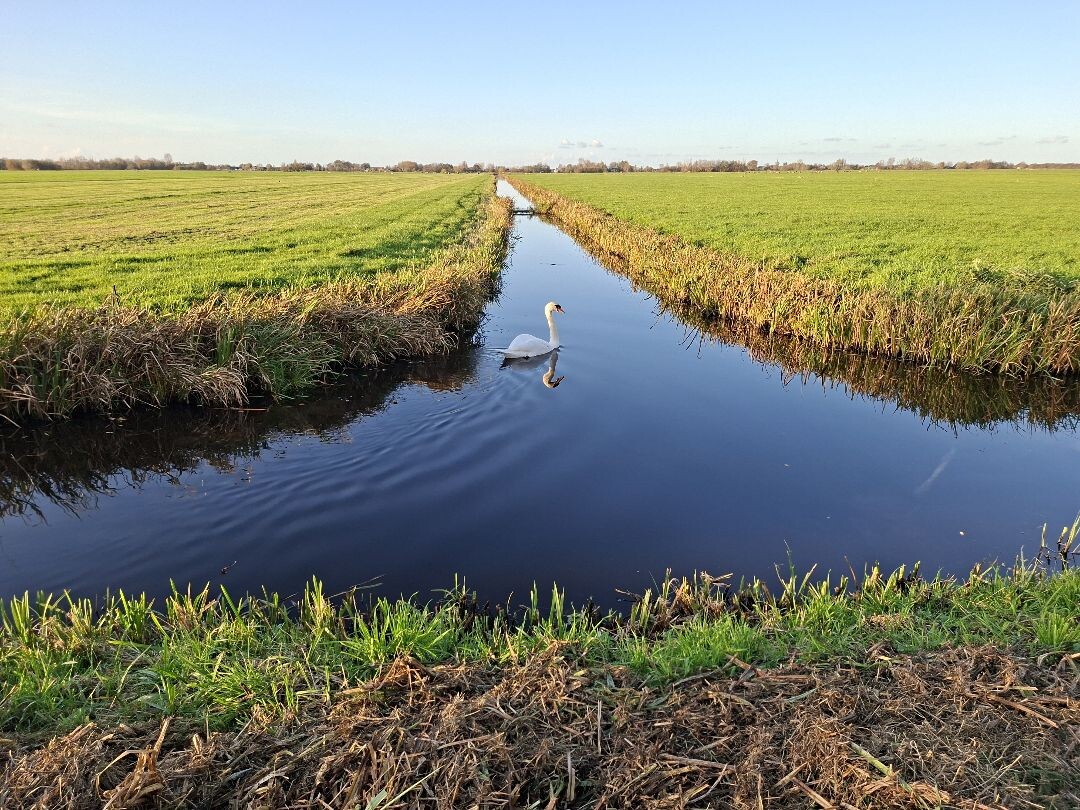 Nieuwer ter Aa - Woerden station · Floris V-pad etappe 4
