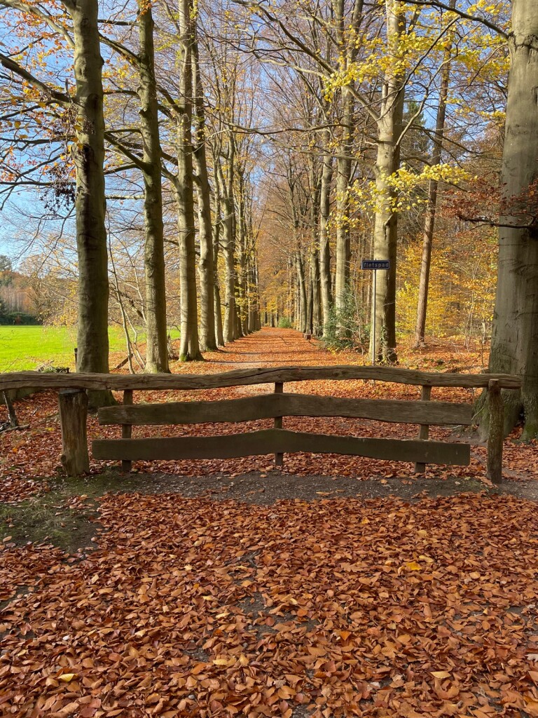 Oldenzaal station - Lonneker · Overijssels Havezatenpad etappe 1