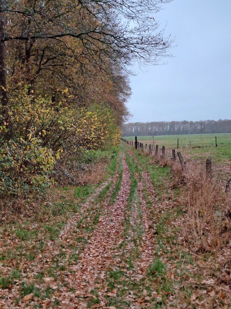 Sleen - Coevorden · Pieterpad etappe 7