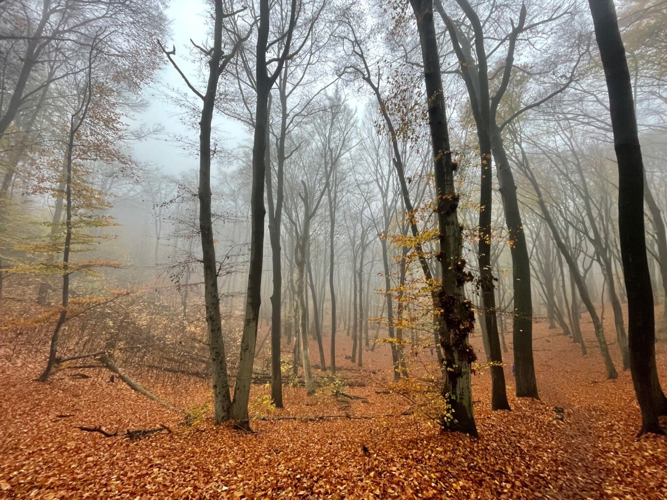 N70 Natuurwandelroute