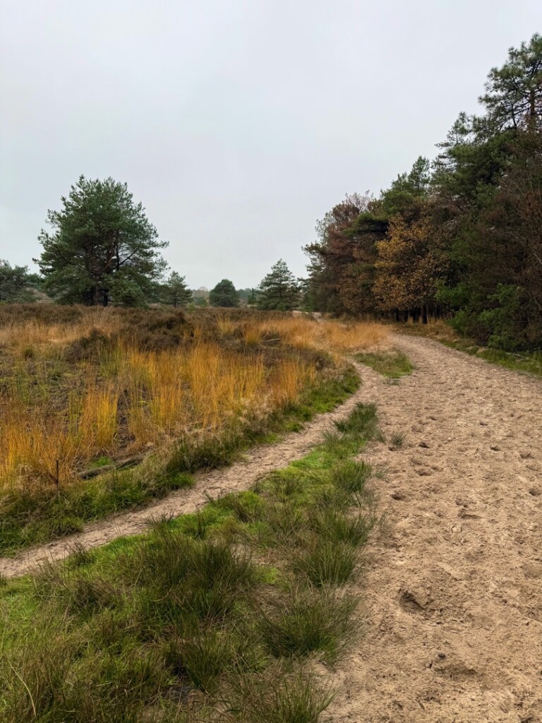 TOP Natuur wandelroute De Loonse en Drunense Duinen
