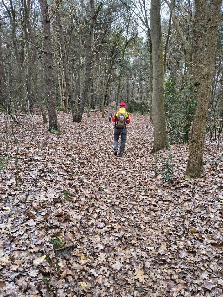 Wandelroute Takkenhoogte 5km