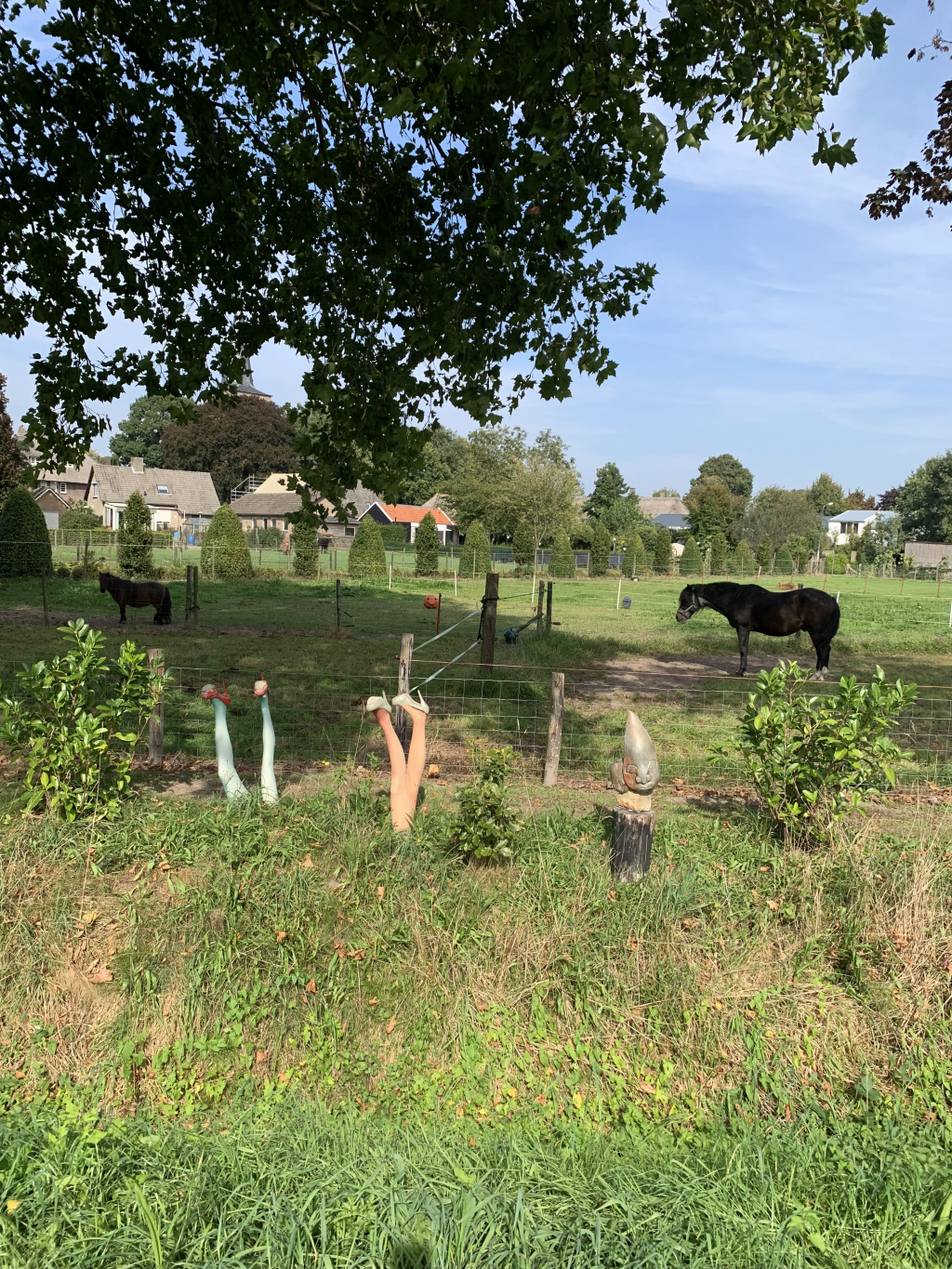 Berkel-Enschot - Biezenmortel · Ons Kloosterpad etappe 13