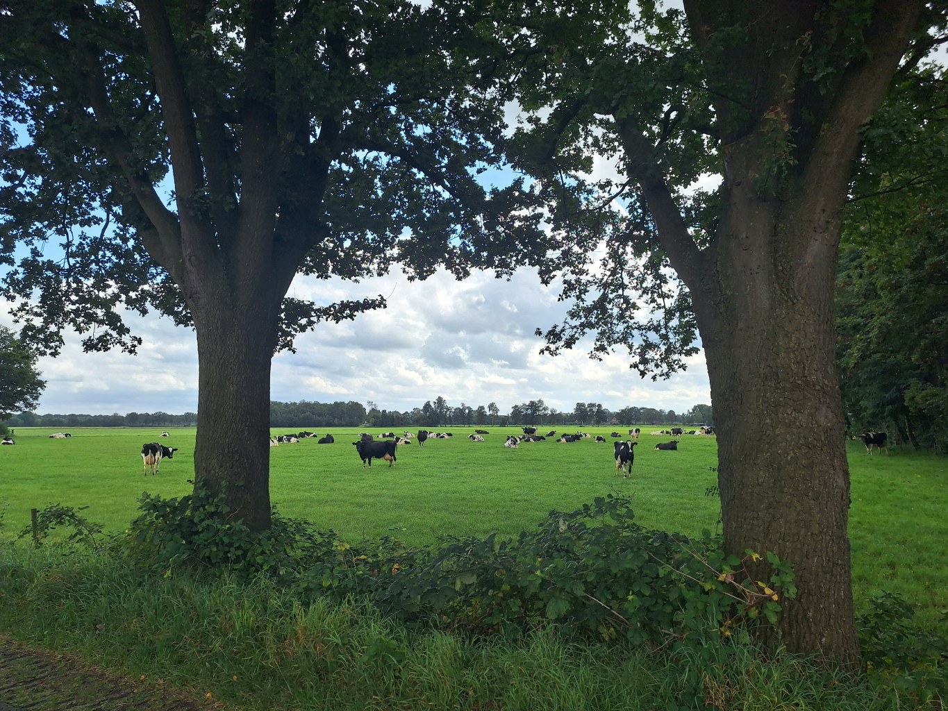 Halle - Aalten · Ludgerpad etappe 3