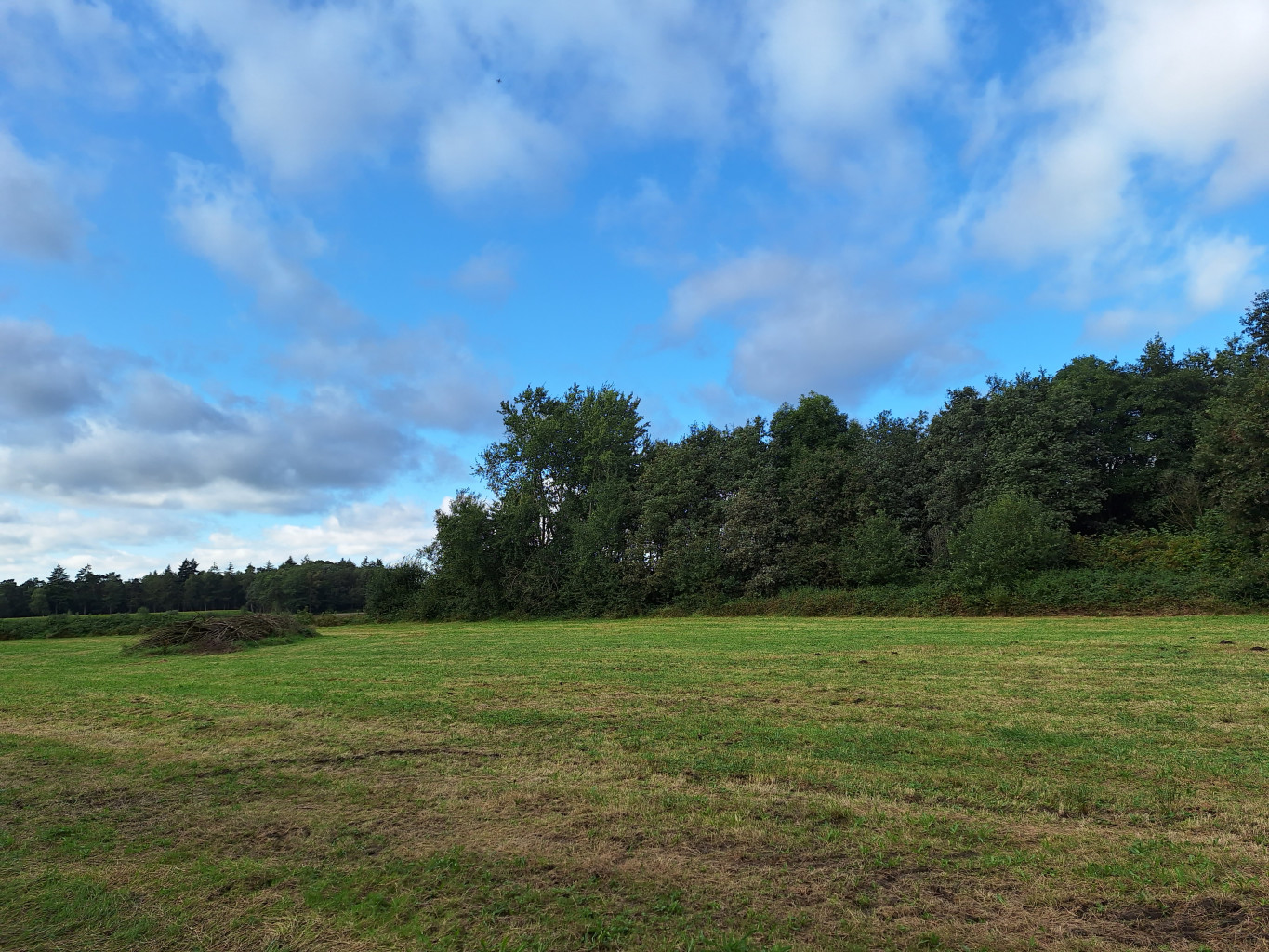 Halle - Aalten · Ludgerpad etappe 3
