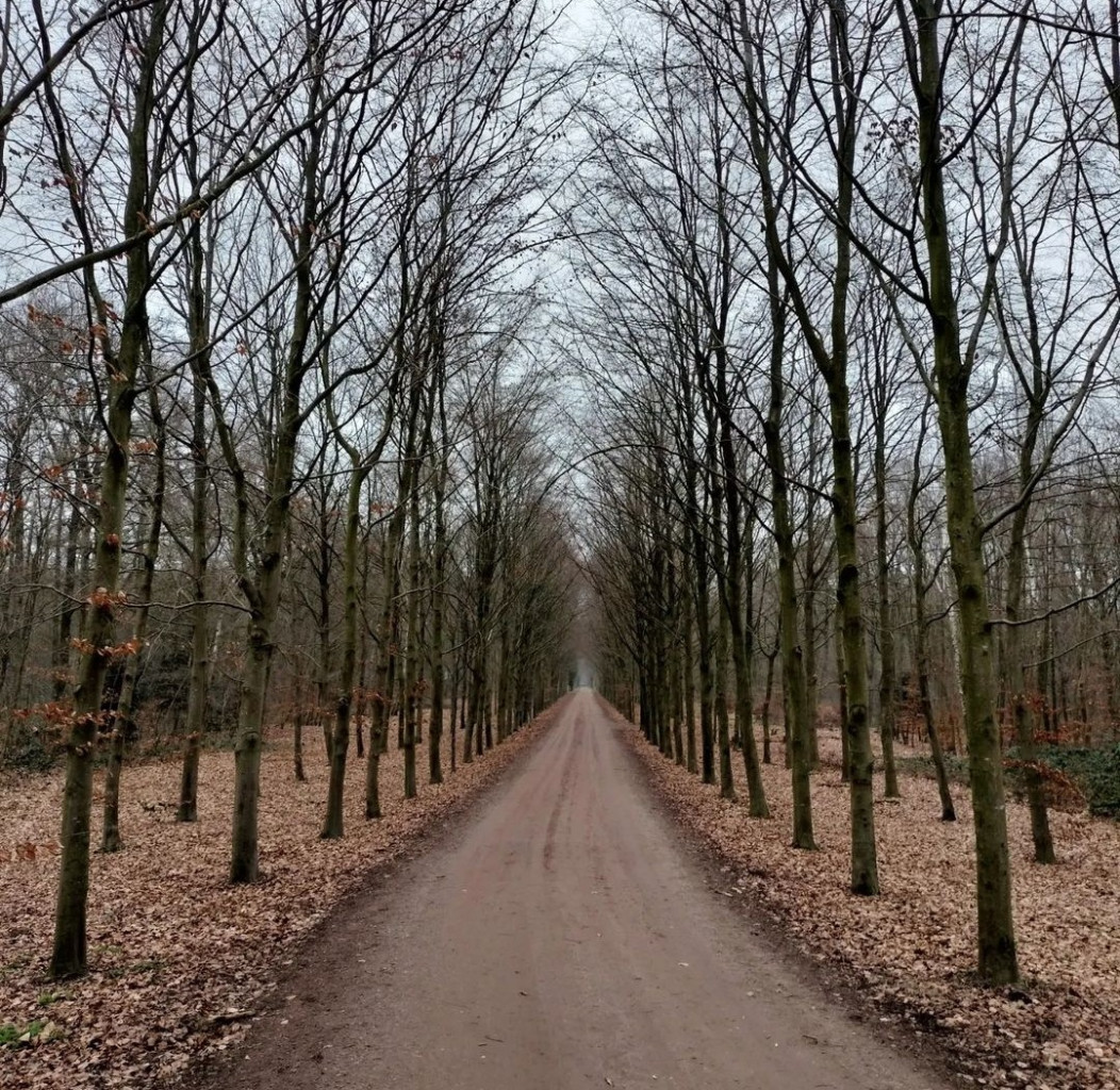 Deventer (station 1km) - Den Nul · Hanzestedenpad etappe 4