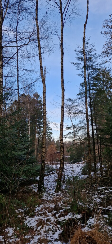 Schoonloo · Klaverblad Borger etappe 1