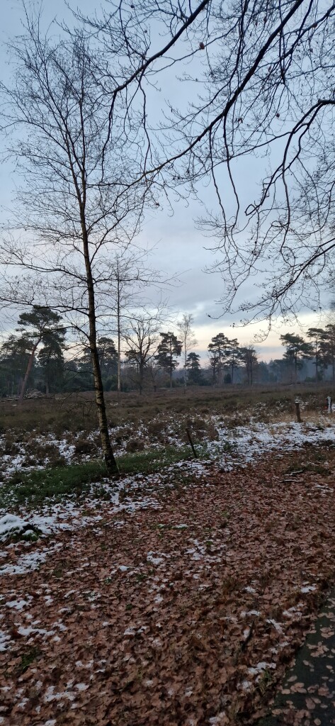 Schoonloo · Klaverblad Borger etappe 1