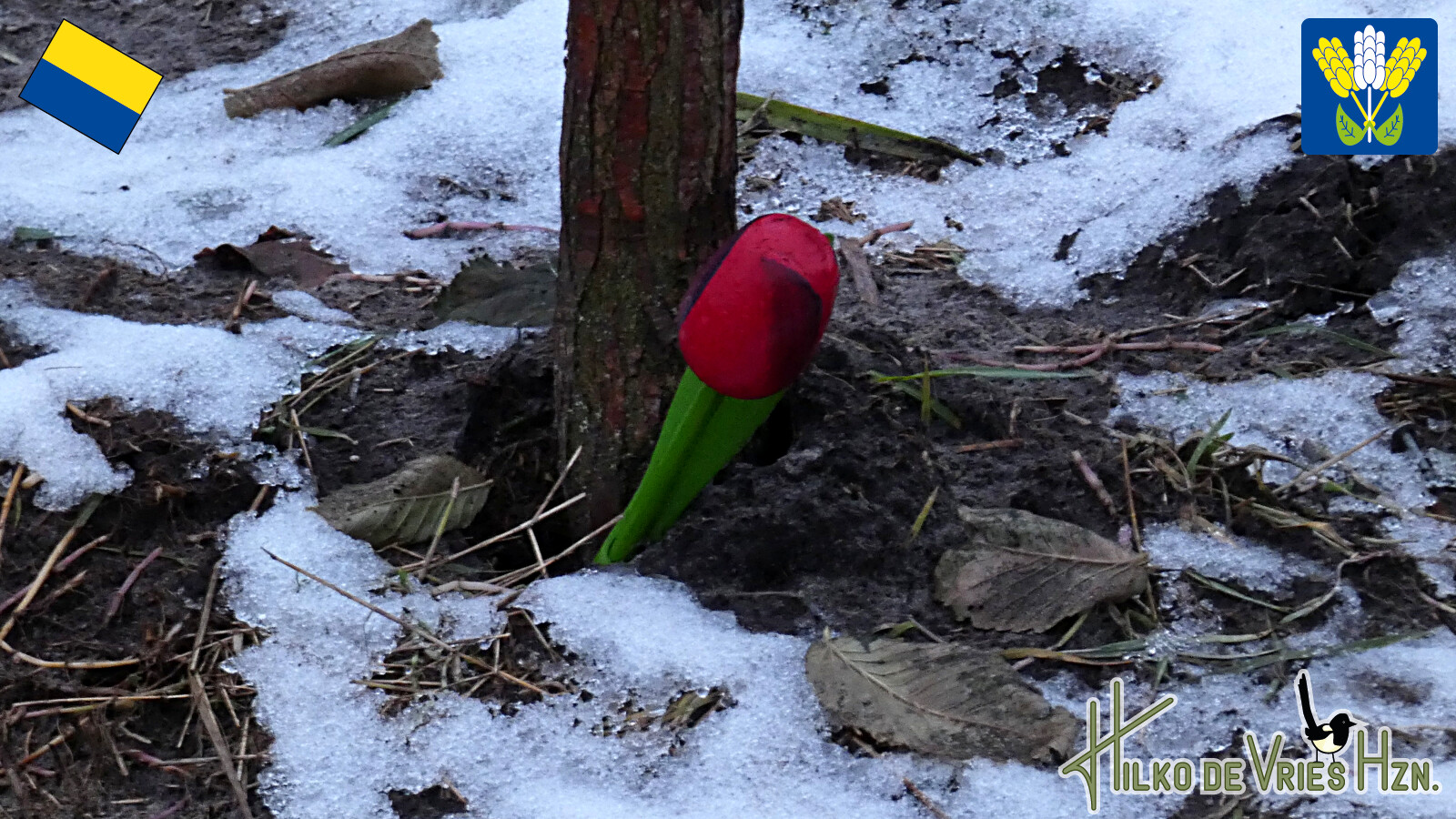 Jipsinghuizen - Sellingen · Westerwoldepad etappe 3