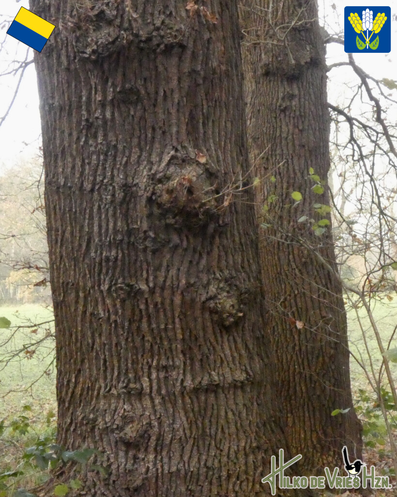 Onstwedde - Jipsinghuizen · Westerwoldepad etappe 2