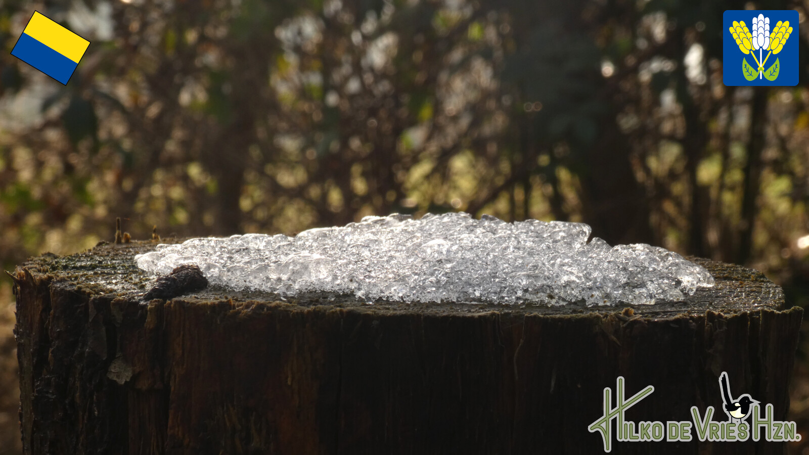 Onstwedde - Jipsinghuizen · Westerwoldepad etappe 2