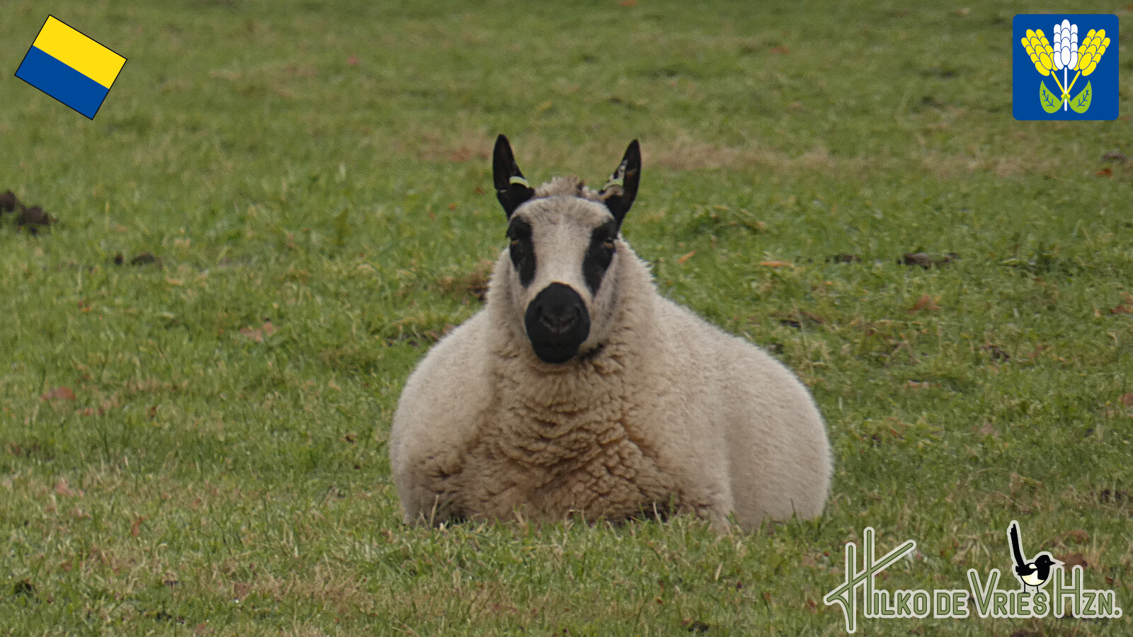 Onstwedde - Jipsinghuizen · Westerwoldepad etappe 2